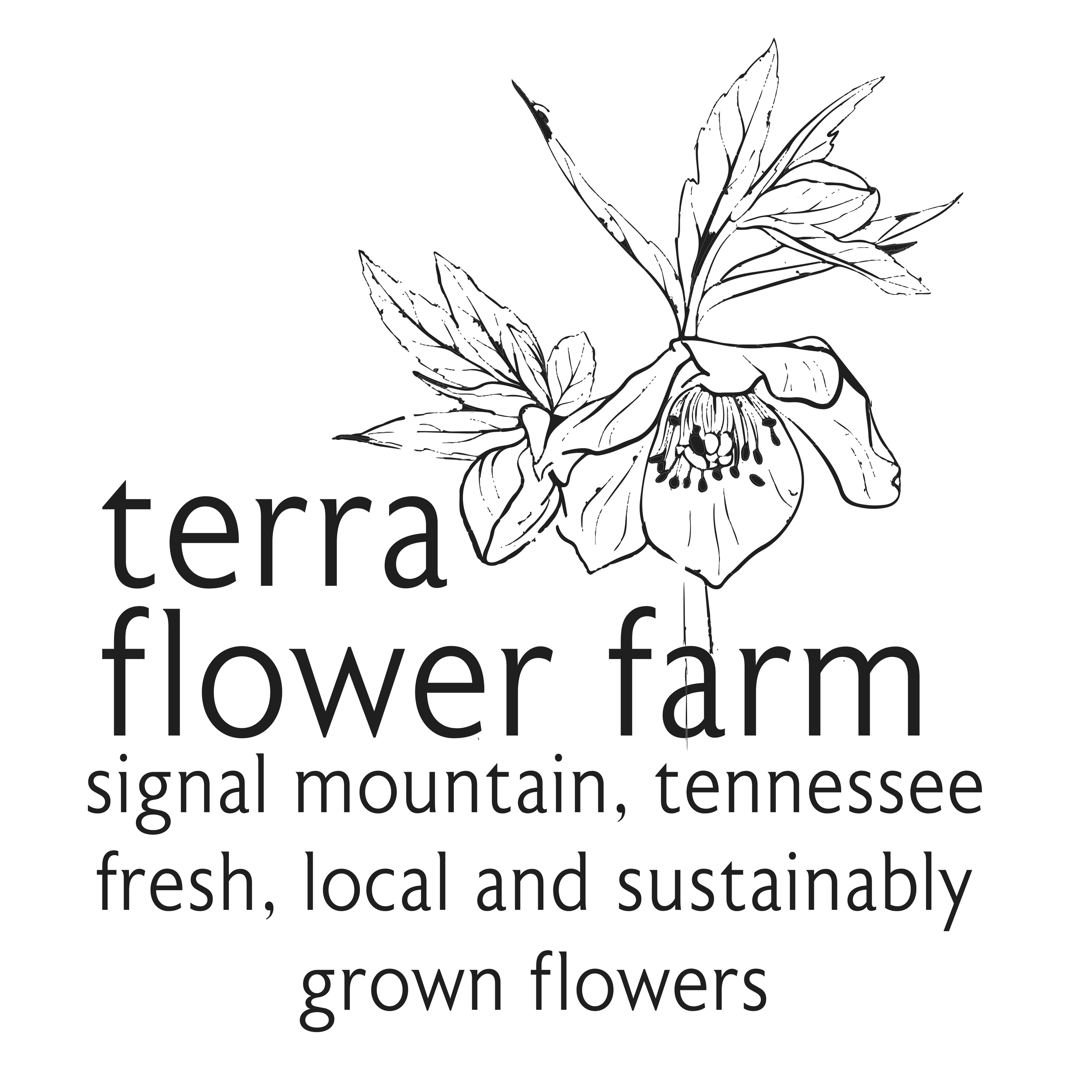 mountainfarm ，thanks Amazon.com: Truck-Lite (81360 Work Lamp : Automotive